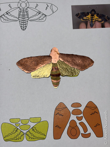 A printed page with a photo of a hawkmoth and templates for the various pieces. There are brass and copper pieces laid out in the design